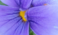 IMG_3279_4