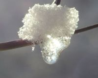 1_Wassertropfen