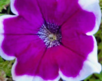 1_Bild_A
