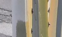 1_Bild5