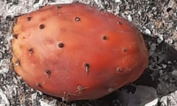 1_Bild7