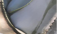 1_Bild9